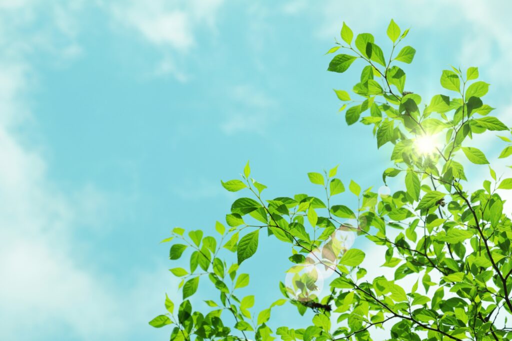 酪酸菌で花粉症対策