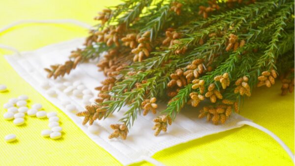 【2024】花粉シーズン到来！暖冬の影響で早く始まり飛散量も多い!?