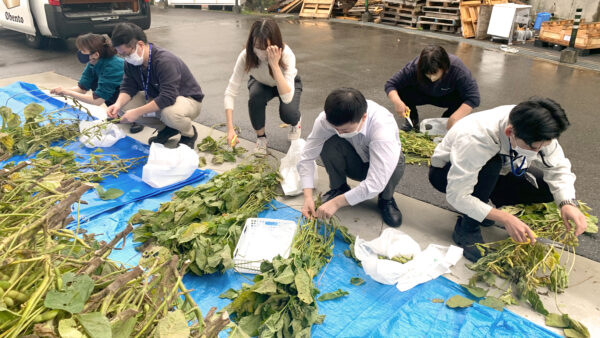 「黒豆の配布」を行いました！