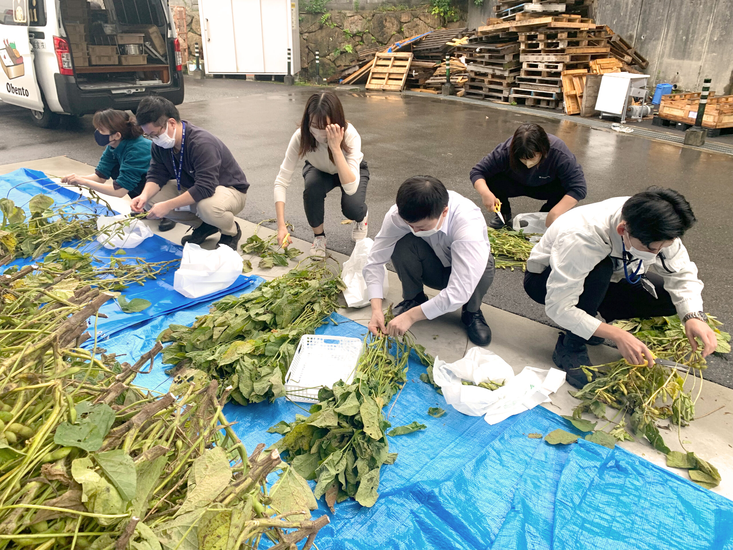 「黒豆の配布」を行いました！