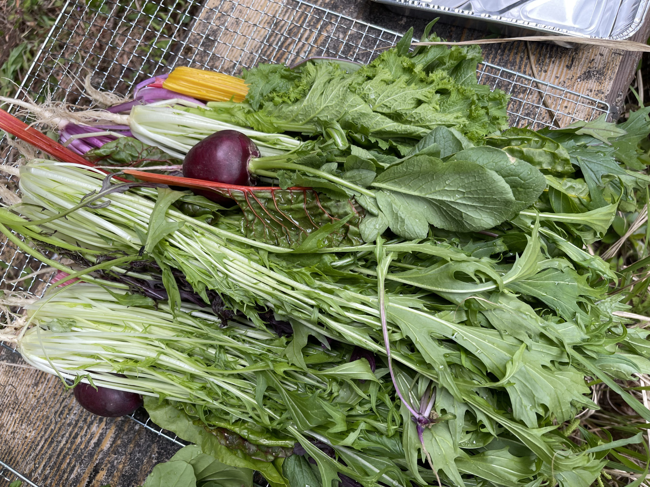 新鮮な野菜