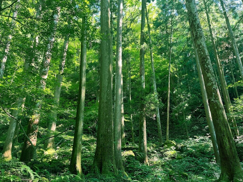 再生樹脂