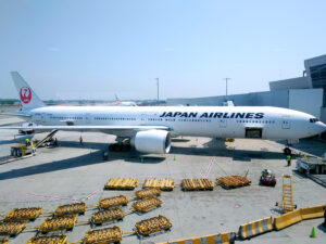 ニューヨークからアメリカに入国