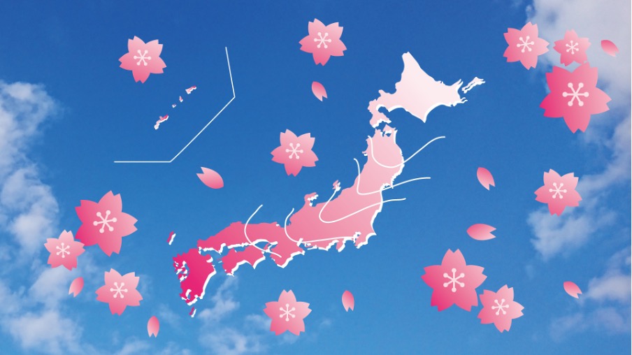 お花見